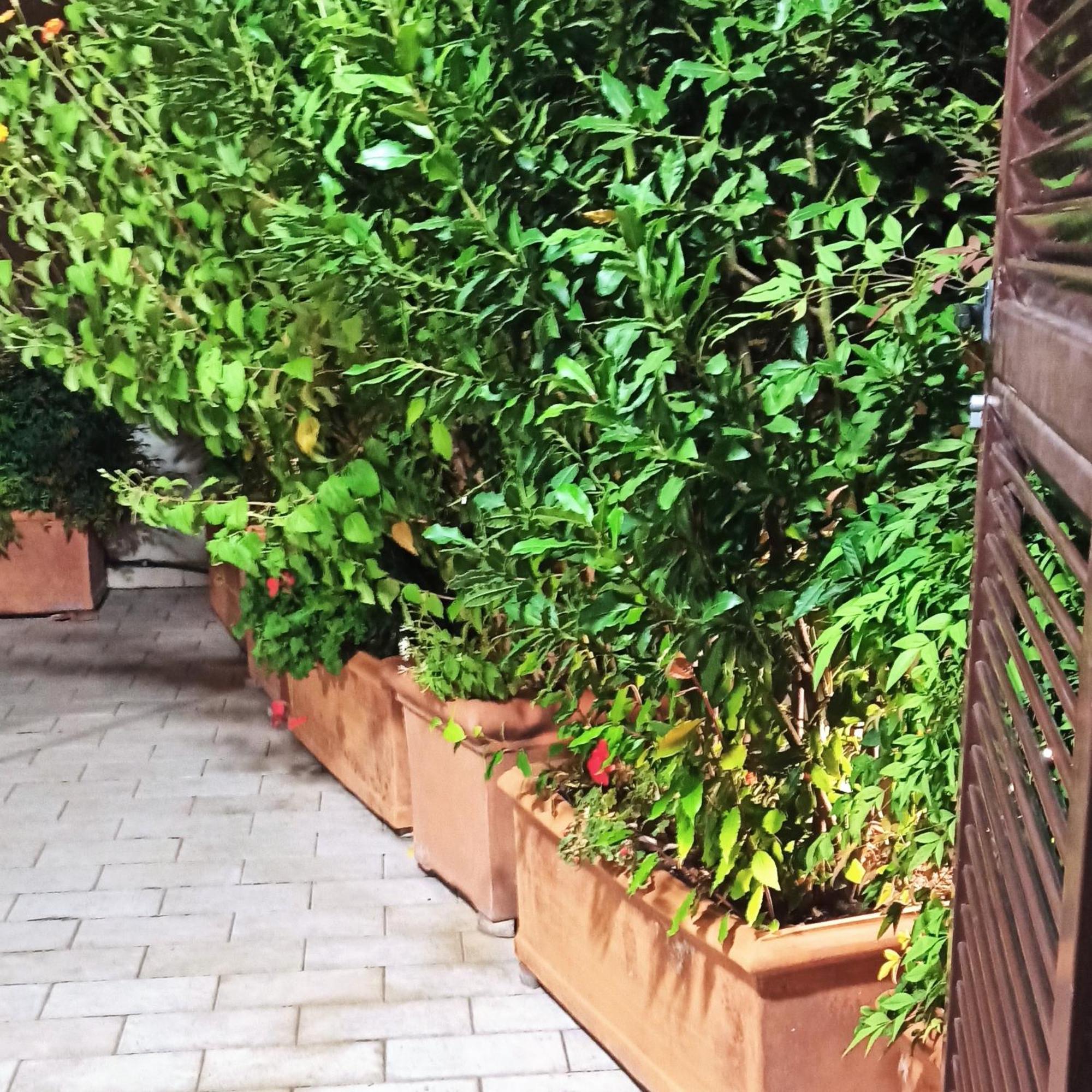 Living By Vatican With Panoramic Terraces In Roma Dış mekan fotoğraf